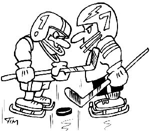 zimni-hry-hokej.gif